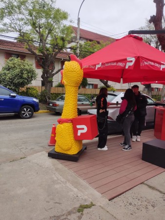 Imagen 36 de servicio