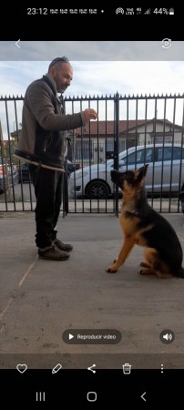 Imagen 2