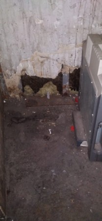 Imagen 43 de servicio