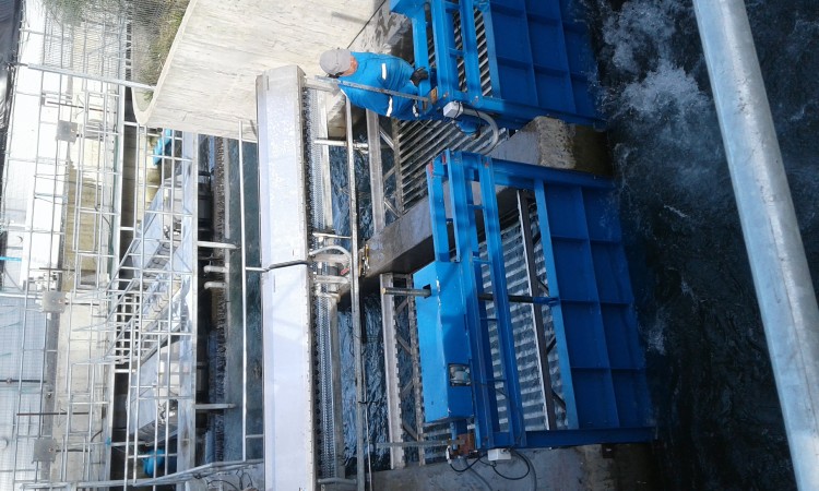 Imagen 45 de servicio