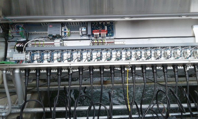Imagen 44 de servicio