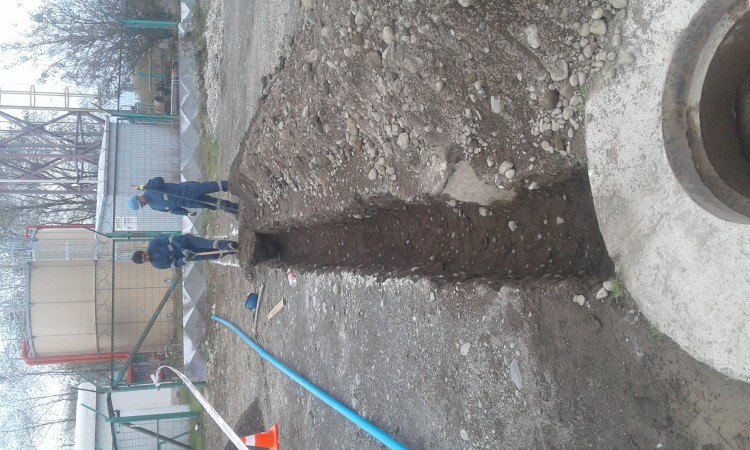 Imagen 142 de servicio