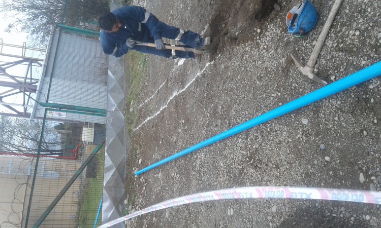 Imagen 141 de servicio
