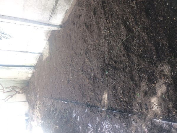 Imagen 11 de servicio