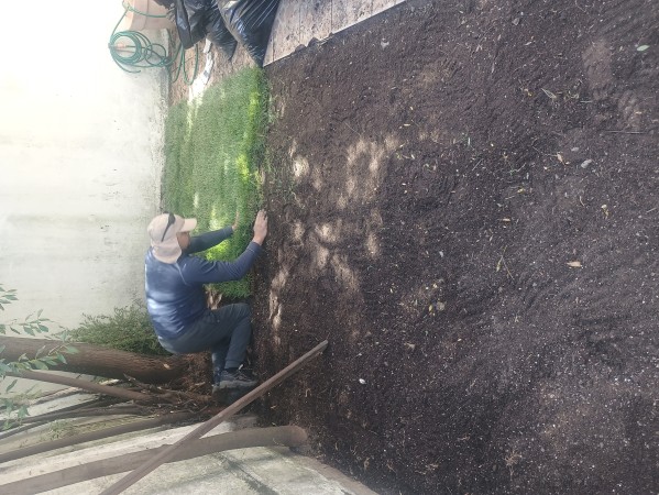 Imagen 13 de servicio