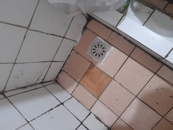 Imagen 41 de servicio