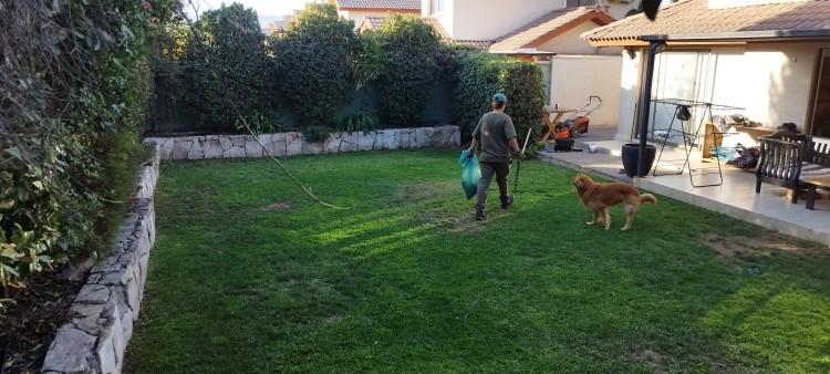 Imagen 0