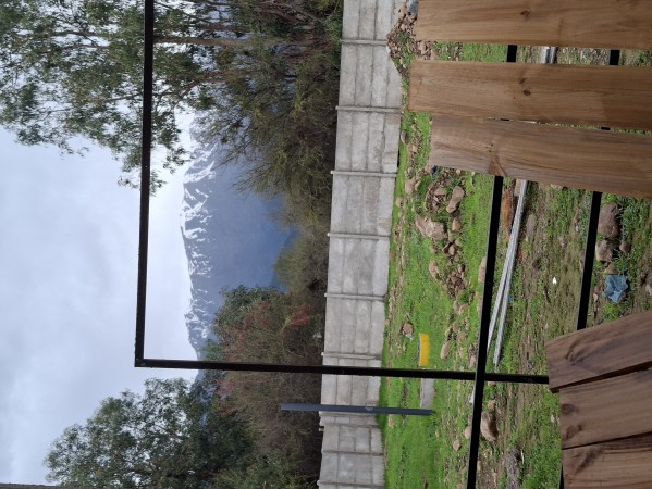 Imagen 3 de servicio
