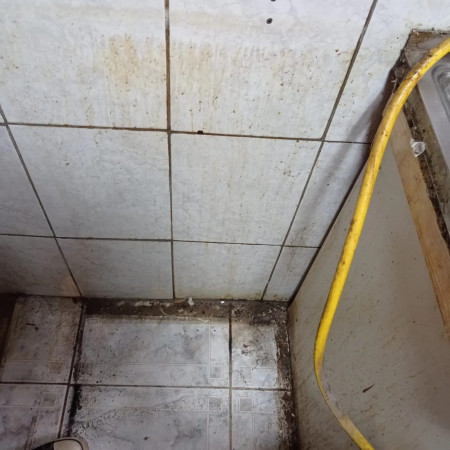Imagen 3 de servicio