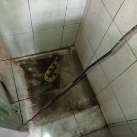 Imagen 4 de servicio