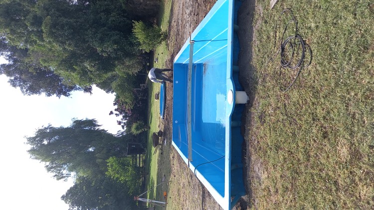 Imagen 27 de servicio