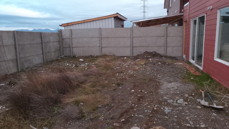Imagen 97 de servicio