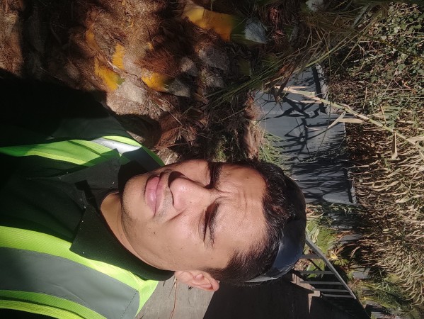 Imagen 24 de servicio