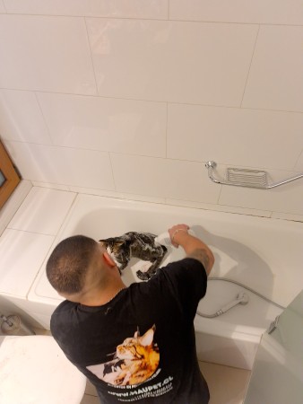 Imagen 5 de servicio