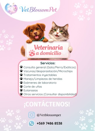 Imagen 0