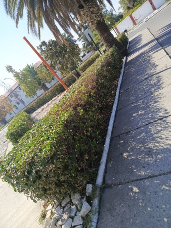 Imagen 3 de servicio