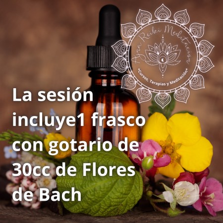 Imagen principal del servicio
