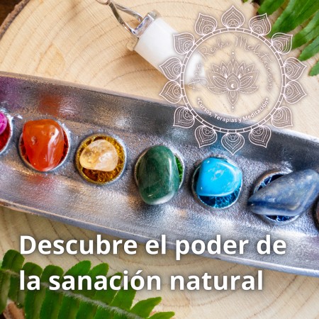 Imagen principal del servicio
