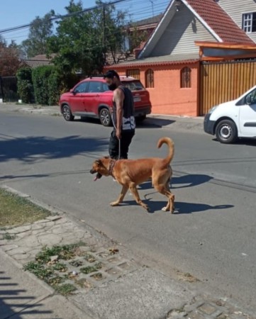 Imagen 5 de servicio