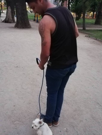 Imagen 9 de servicio