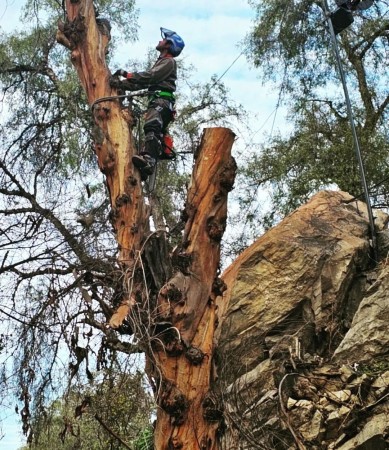 Imagen 3 de servicio