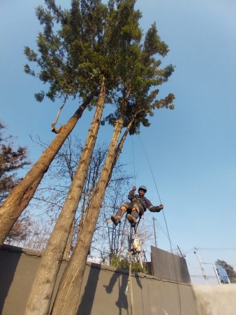 Imagen 20 de servicio
