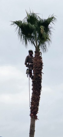 Imagen 24 de servicio