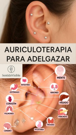 Imagen principal del servicio