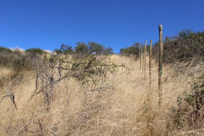 Imagen 5 de servicio