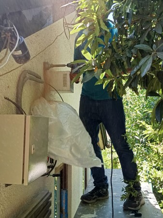 Imagen 39 de servicio