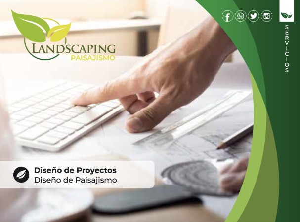 Imagen 3 de servicio