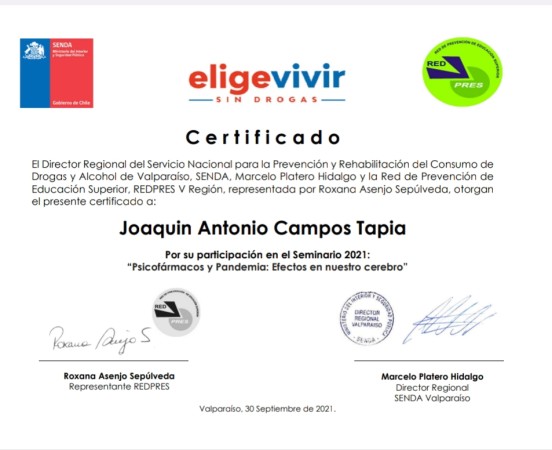 Imagen 8 de servicio