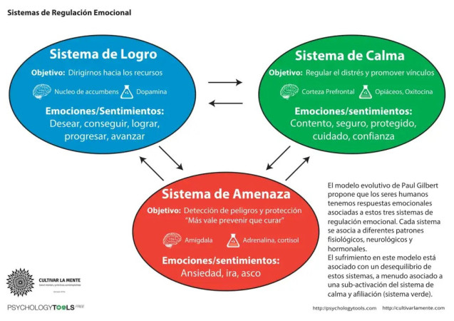 Imagen 4 de servicio
