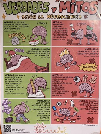 Imagen 4 de servicio