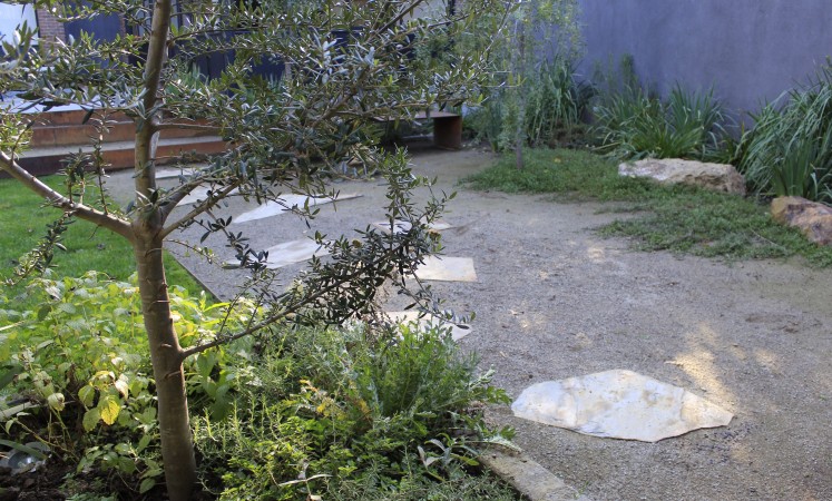 Imagen 2