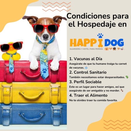 Imagen 0