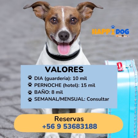 Imagen 1
