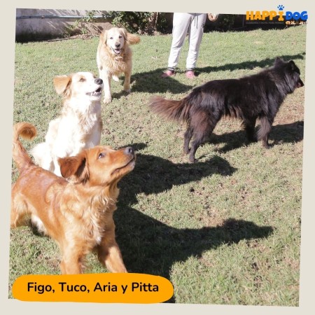 Imagen 4 de servicio
