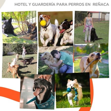 Imagen 6 de servicio
