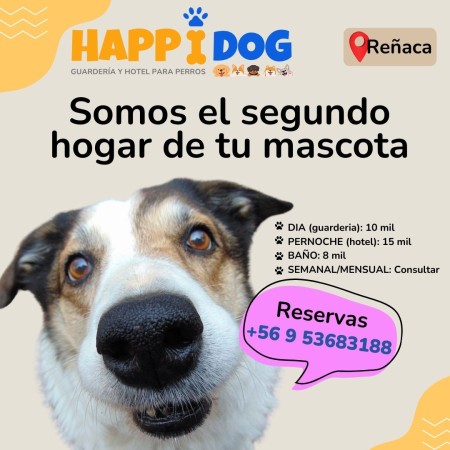 Imagen 5 de servicio