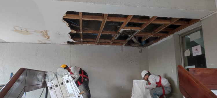 Imagen 4 de servicio