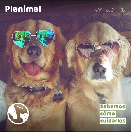 Imagen 0