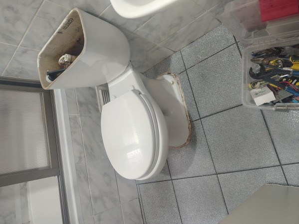 Imagen 40 de servicio