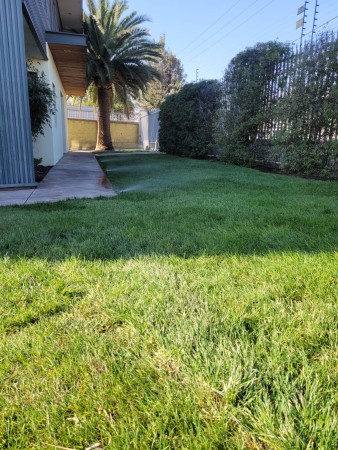 Imagen 4 de servicio