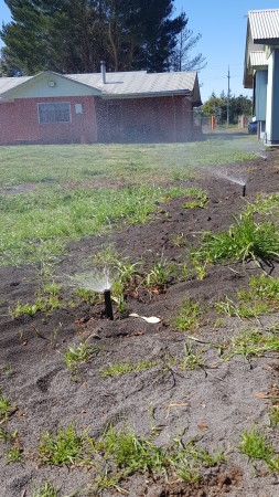 Imagen 7 de servicio