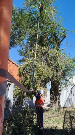 Imagen 4 de servicio