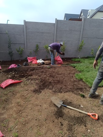 Imagen 16 de servicio