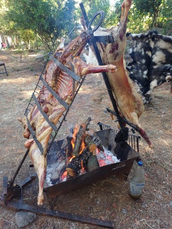 Imagen 9 de servicio